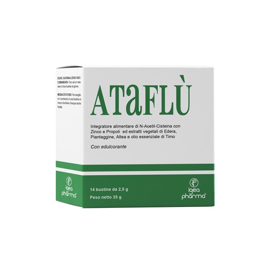 ATAFLU' 14 BUSTINE