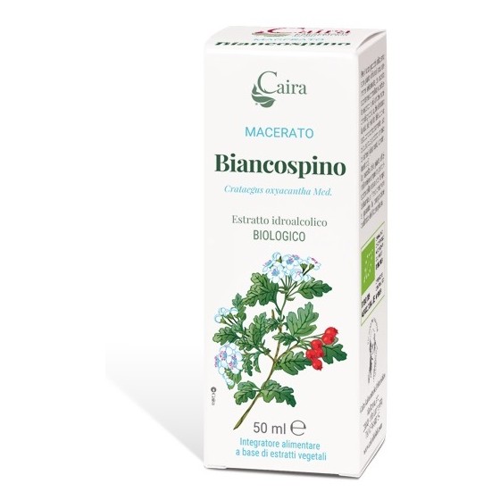CAIRA BIANCOSPINO MACERATO...