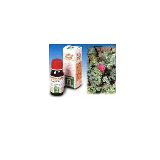 CARDO MARIANO 6 50ML TM