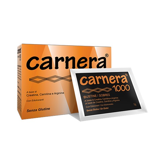 CARNERA 1000 18 BUSTINE
