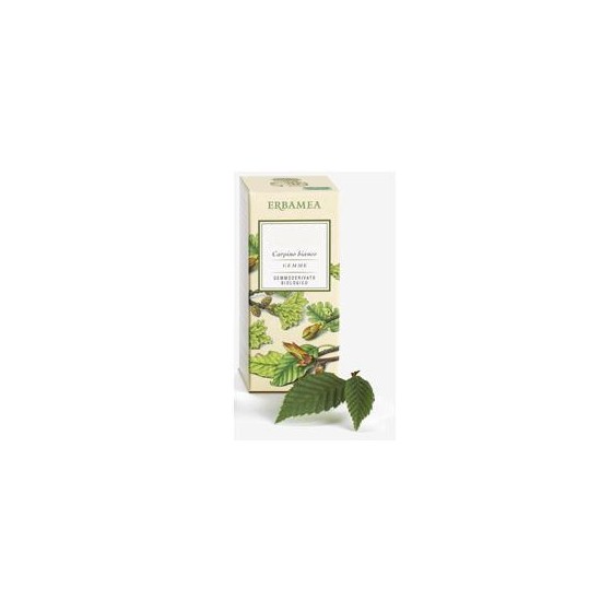 FICUS CARICA GEMME...