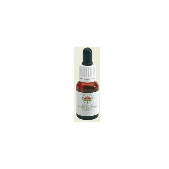 LICHEN 15 ML GOCCE