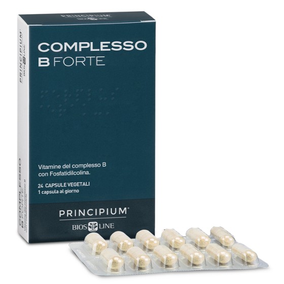 PRINCIPIUM COMPLESSO B...