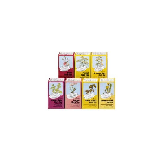 ORTICA TISANA BIO 15 FILTRI