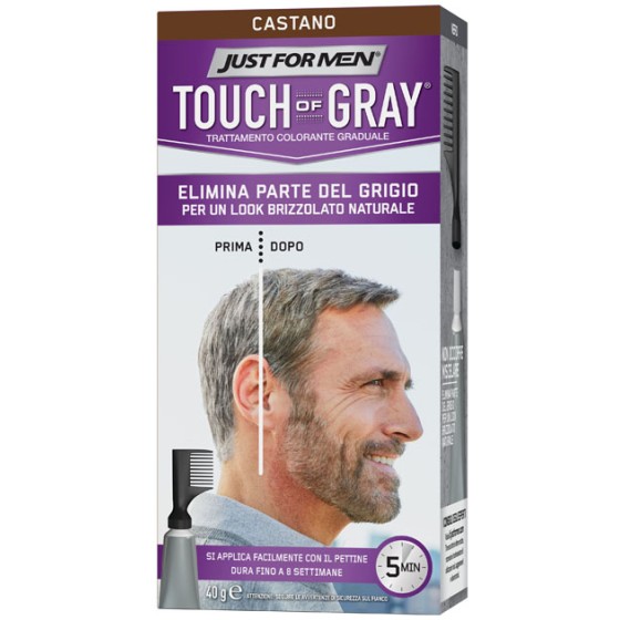 JUST FOR MEN TOUCH OF GRAY...