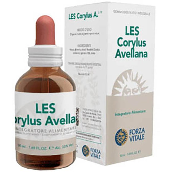 LES CORYLUS AVELLANA GOCCE...