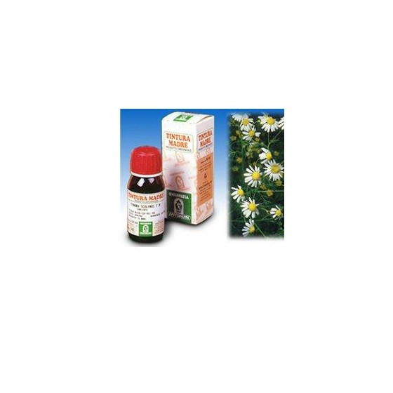 CAMOMILLA 7 50ML TM