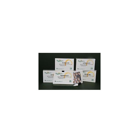 GINKGOSAN 60 COMPRESSE 400 MG