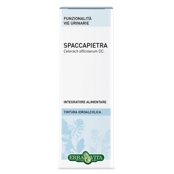 SPACCAPIETRA TINTURA...